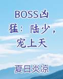 BOSS凶猛：陆少，宠上天