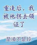 重逢后，我被他拐去领证了