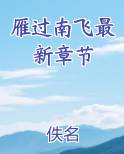 雁过南飞最新章节