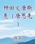 种田文唐斯羡（唐思先）