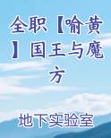全职【喻黄】国王与魔方