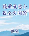 隐藏爱意小说全文阅读
