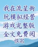 我在流星街玩模拟经营游戏完整版全文免费阅读