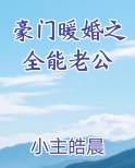 豪门暖婚之全能老公