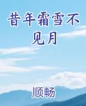 昔年霜雪不见月