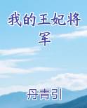 我的王妃将军
