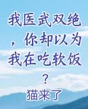 我医武双绝，你却以为我在吃软饭？