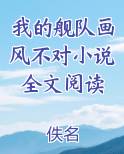 我的舰队画风不对小说全文阅读