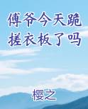 傅爷今天跪搓衣板了吗
