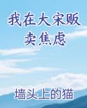 我在大宋贩卖焦虑