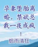 孕妻堕胎离婚，禁欲总裁一夜成疯！